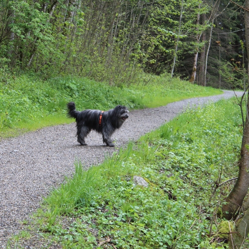 02 Im Mai im Allgäu